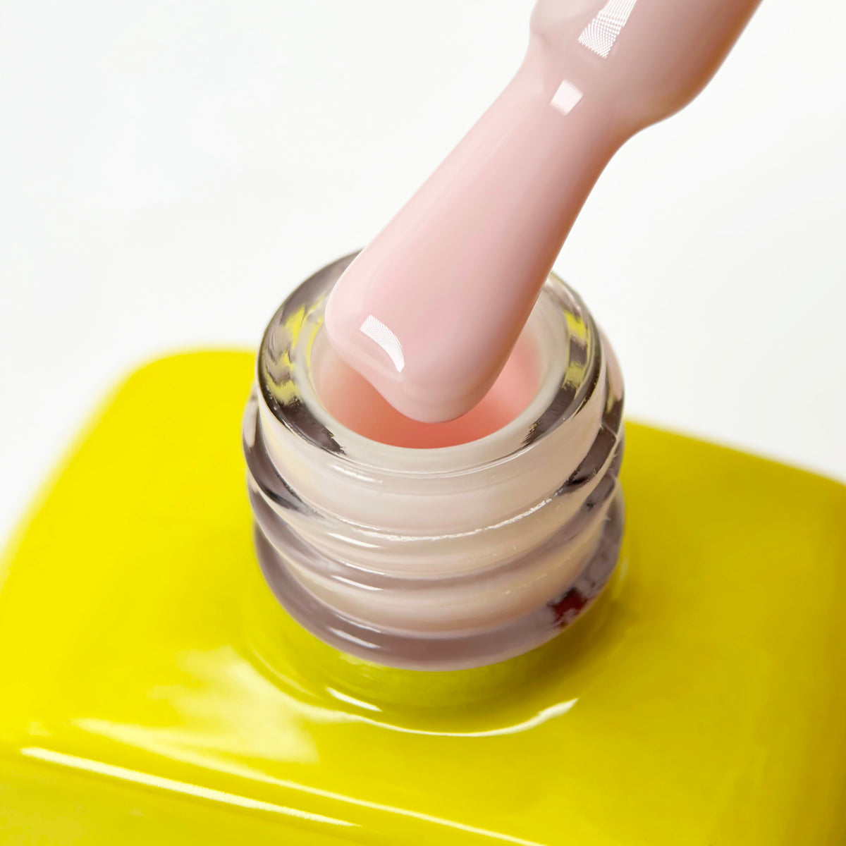 Color Base «Powders» 008